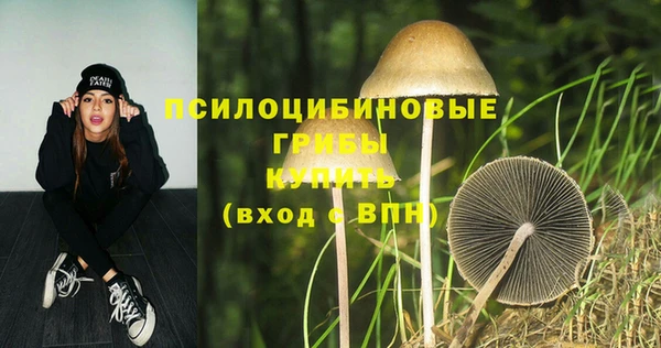ешки Волоколамск